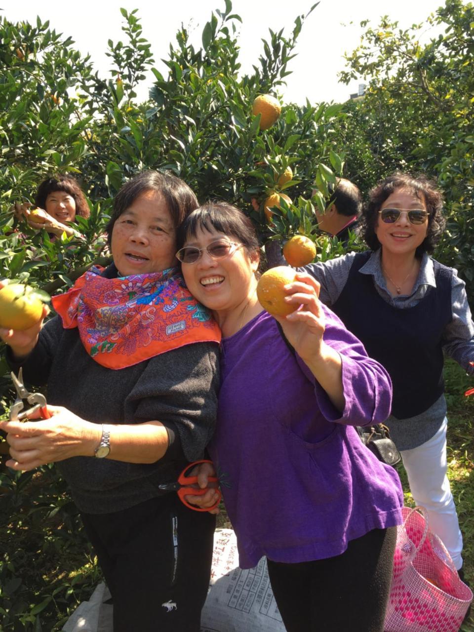 Fanny Manor B&B Emei Ngoại thất bức ảnh